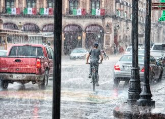Dlaczego wycieraczki są niezbędnym elementem pojazdu? Dlaczego wycieraczki są niezbędnym elementem pojazdu?
