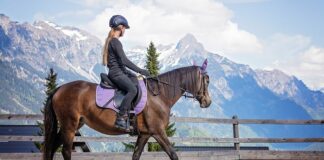 Czy można jeść w trakcie jazdy? Czy można jeść w trakcie jazdy?