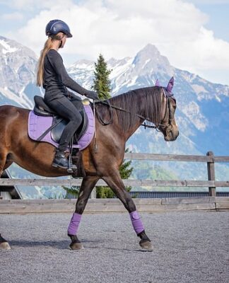 Czy można jeść w trakcie jazdy?