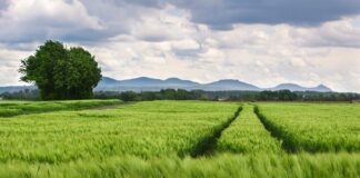 Czy dystanse do kół są legalne? Czy dystanse do kół są legalne?