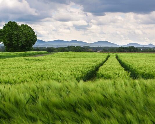 Czy dystanse do kół są legalne? Czy dystanse do kół są legalne?