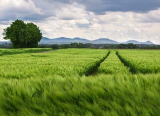 Co daje zwiększenie rozstawu kół?