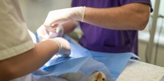 Jak sterylizacja bez autoklawu?