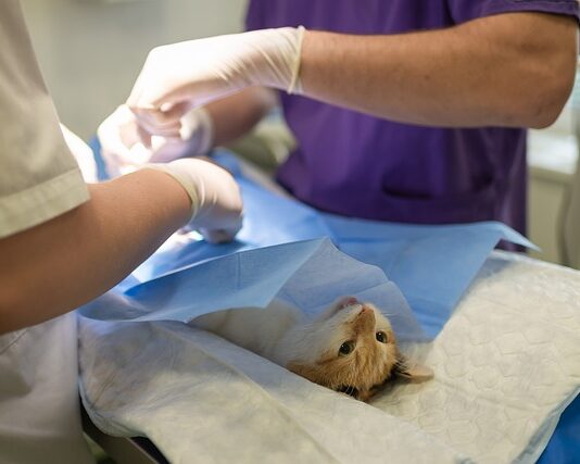 Jak sterylizacja bez autoklawu?