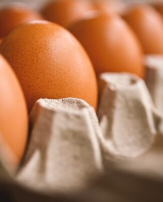 Jaki uchwyt na telefon do samochodu na szybę? Jaki uchwyt na telefon do samochodu na szybę?