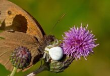 Czy można odkurzyć samochód pod blokiem?