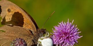 Czy można odkurzyć samochód pod blokiem?
