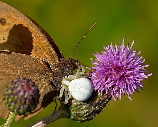 Czy można odkurzyć samochód pod blokiem? Czy można odkurzyć samochód pod blokiem?