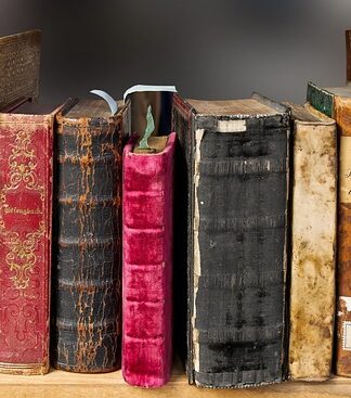 Gdzie kupić Pokrowiec na sofę?