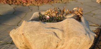 Czym przykryć samochód przed mrozem?