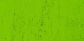 Jak usunąć zacieki z wody na aucie?