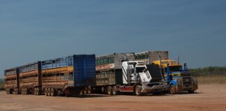 Czym różni się naczepa Mega od standard? Czym różni się naczepa Mega od standard?