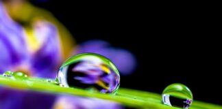 Co jest dobre na wilgoć w samochodzie?