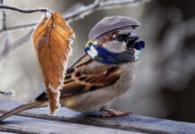 Jak tanio ogrzać warsztat? Jak tanio ogrzać warsztat?