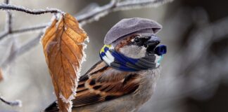 Jak tanio ogrzać warsztat? Jak tanio ogrzać warsztat?