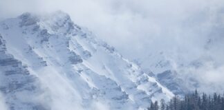 Jak pojechać na przegląd bez tablic rejestracyjnych? Jak pojechać na przegląd bez tablic rejestracyjnych?