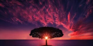 Czy słońce niszczy lakier samochodowy?