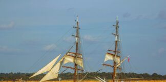 Czy Plandeka chroni przed mrozem?