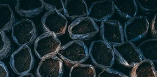 Czy brud na samochodzie niszczy lakier?