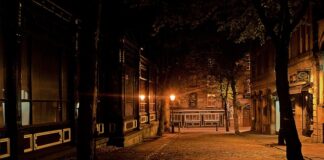 Jak samemu wyczyścić kostkę brukową?