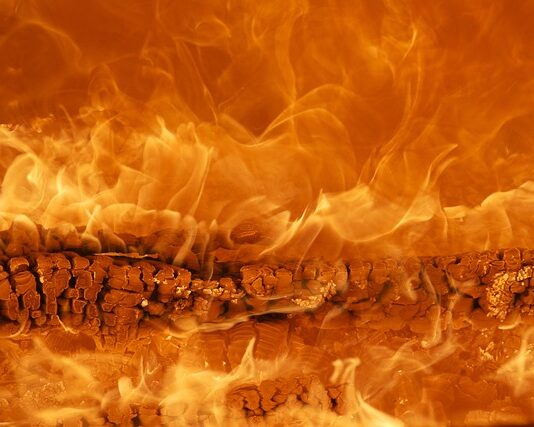 Co to za marka auta z koniem?