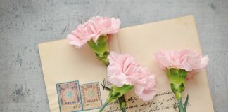 Czy można wysłać pocztą rowerem?