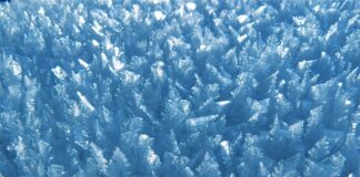 Jak zabezpieczyć szyby przed szronem?