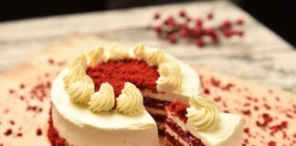 Co to za tkanina Magic Velvet?