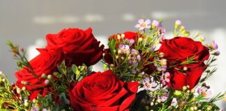 Ile kosztuje najdroższy Ford Mustang? Ile kosztuje najdroższy Ford Mustang?