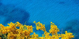 Co dają żółte tablice rejestracyjne? Co dają żółte tablice rejestracyjne?