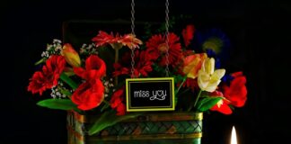 Ile pali fiat multipla?