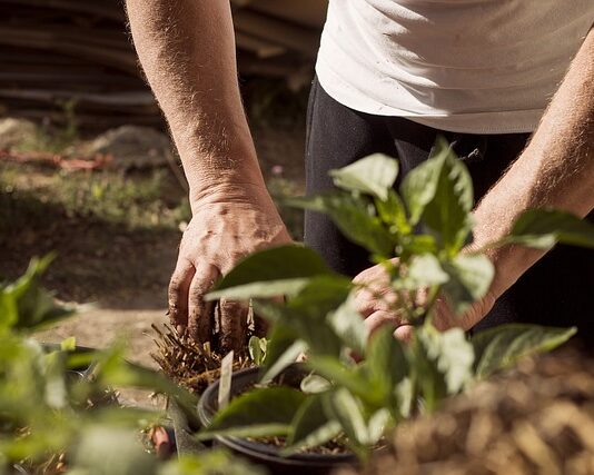 Jak sprawdzić czy jest uziemienie w gniazdku? Jak sprawdzić czy jest uziemienie w gniazdku?