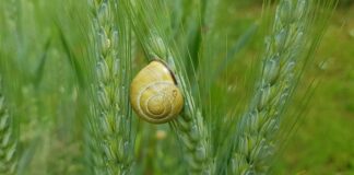 Czym najlepiej uszczelnić silnik?