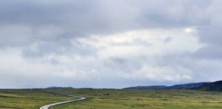 Dlaczego jest mokra podłoga w samochodzie?