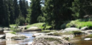 Gdzie spływa woda z podszybia?