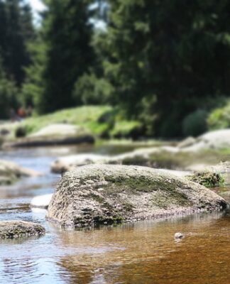 Gdzie spływa woda z podszybia?