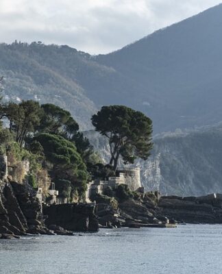 Ile kosztuje wymiana baterii w iPhone 11?