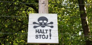 Jak przygotować auto na dłuższy postój?