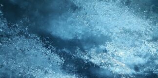 Jaka osłona przeciwsłoneczna do samochodu?