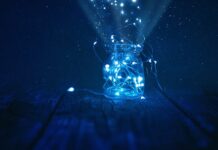 Czy Lightning i USB-C to to samo? Czy Lightning i USB-C to to samo?