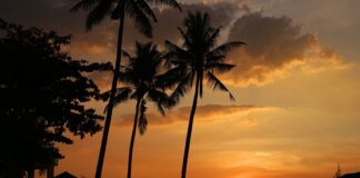 Czy warto kupić Lancie Ypsilon?