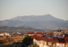 Ile kosztuje nagrzewnica do Passata B6?