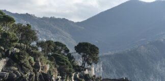 Ile kosztuje elektryczny Ford Mustang?