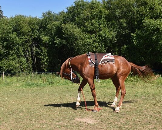 Jak zamontować gałki do mebli?