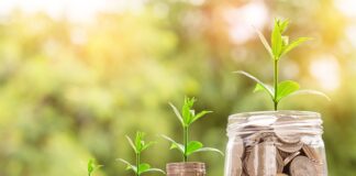 Czy warto inwestować w Mustanga?