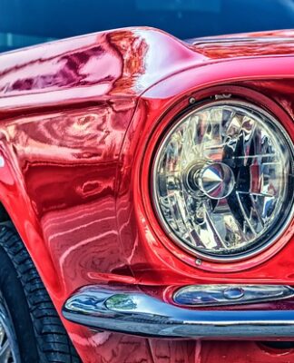 Jak wygląda koń Mustang?