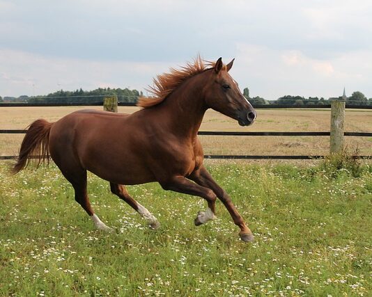 Jaki jest najszybszy samolot na świecie? Jaki jest najszybszy samolot na świecie?
