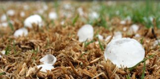 Jak zabezpieczyć samochód przed gradobiciem? Jak zabezpieczyć samochód przed gradobiciem?