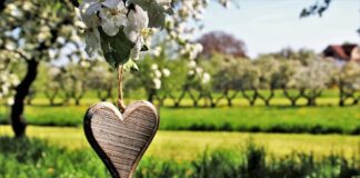 Jak się nazywa zawieszka do telefonu?