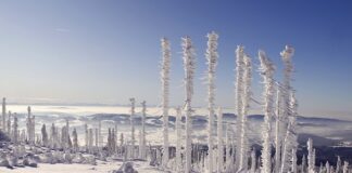 Co na fotele samochodowe?